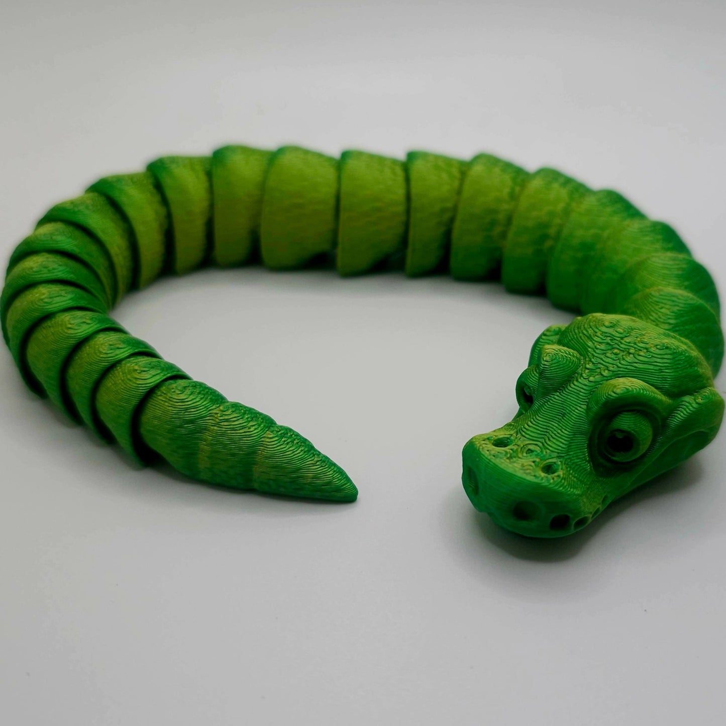 Reptile-Ball Python