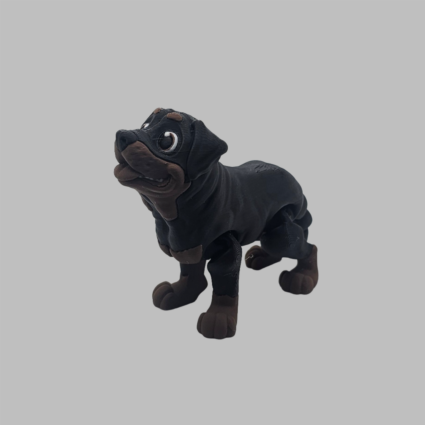 Dog-Rottweiler
