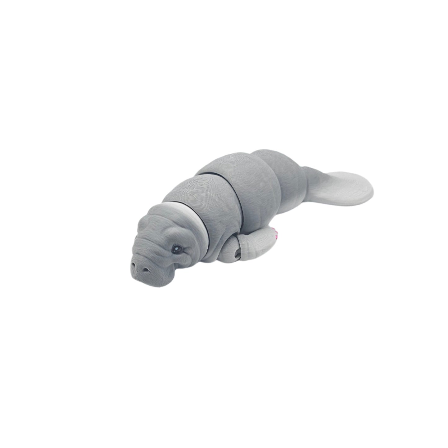 Manatee
