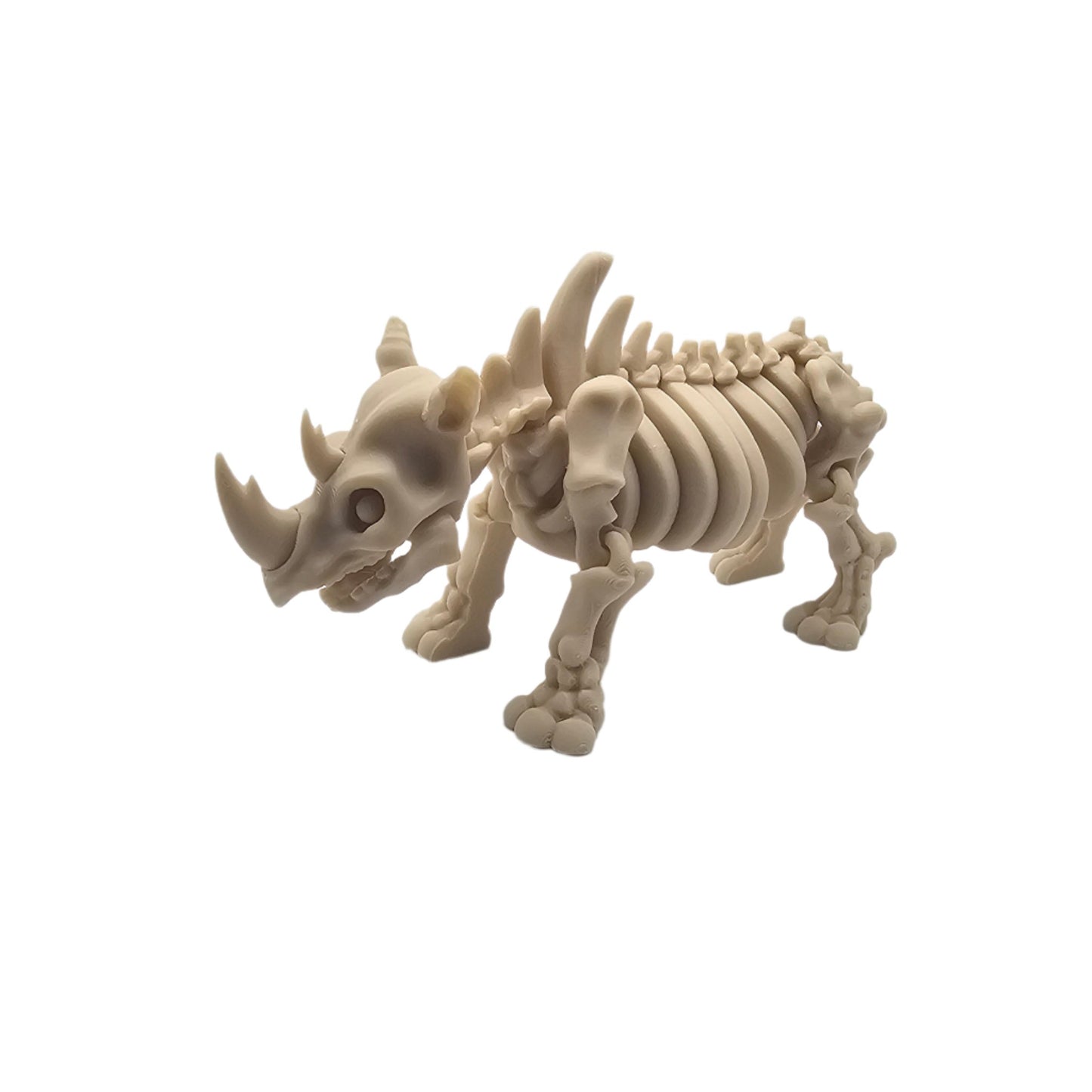 Skelly Rhino