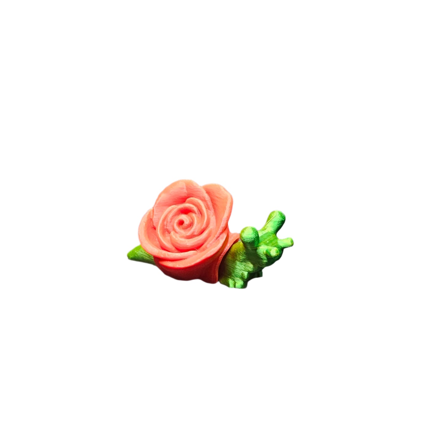 Cuties-Rose Snail