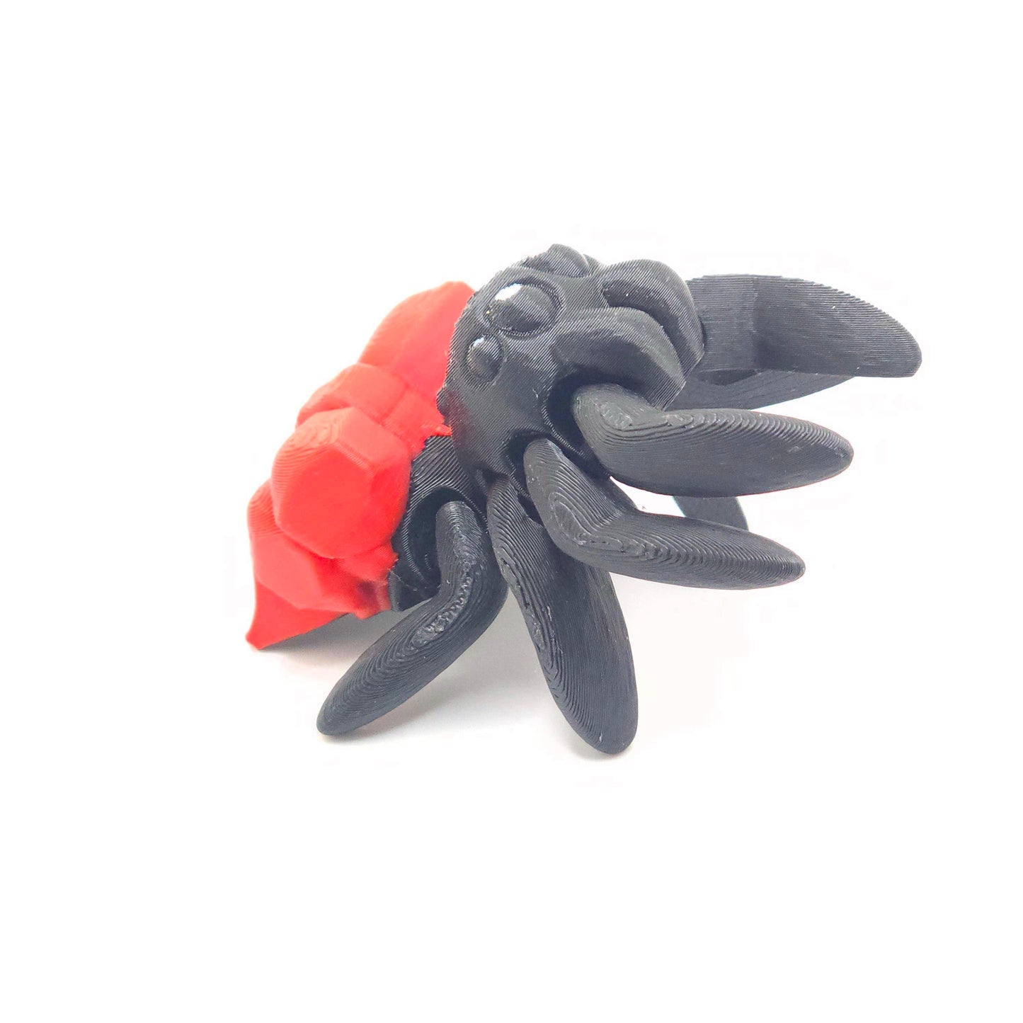 Cuties-Ribbon Spider