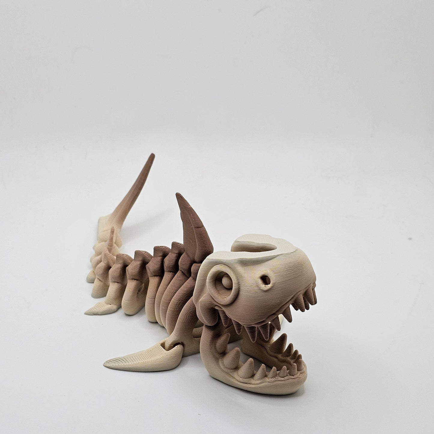 Skelly Shark