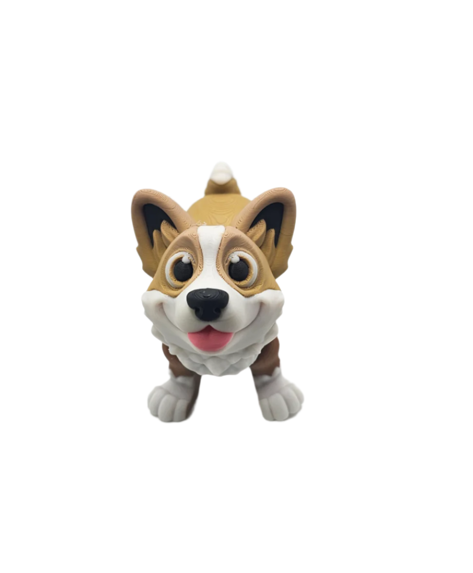 Dog-Corgi