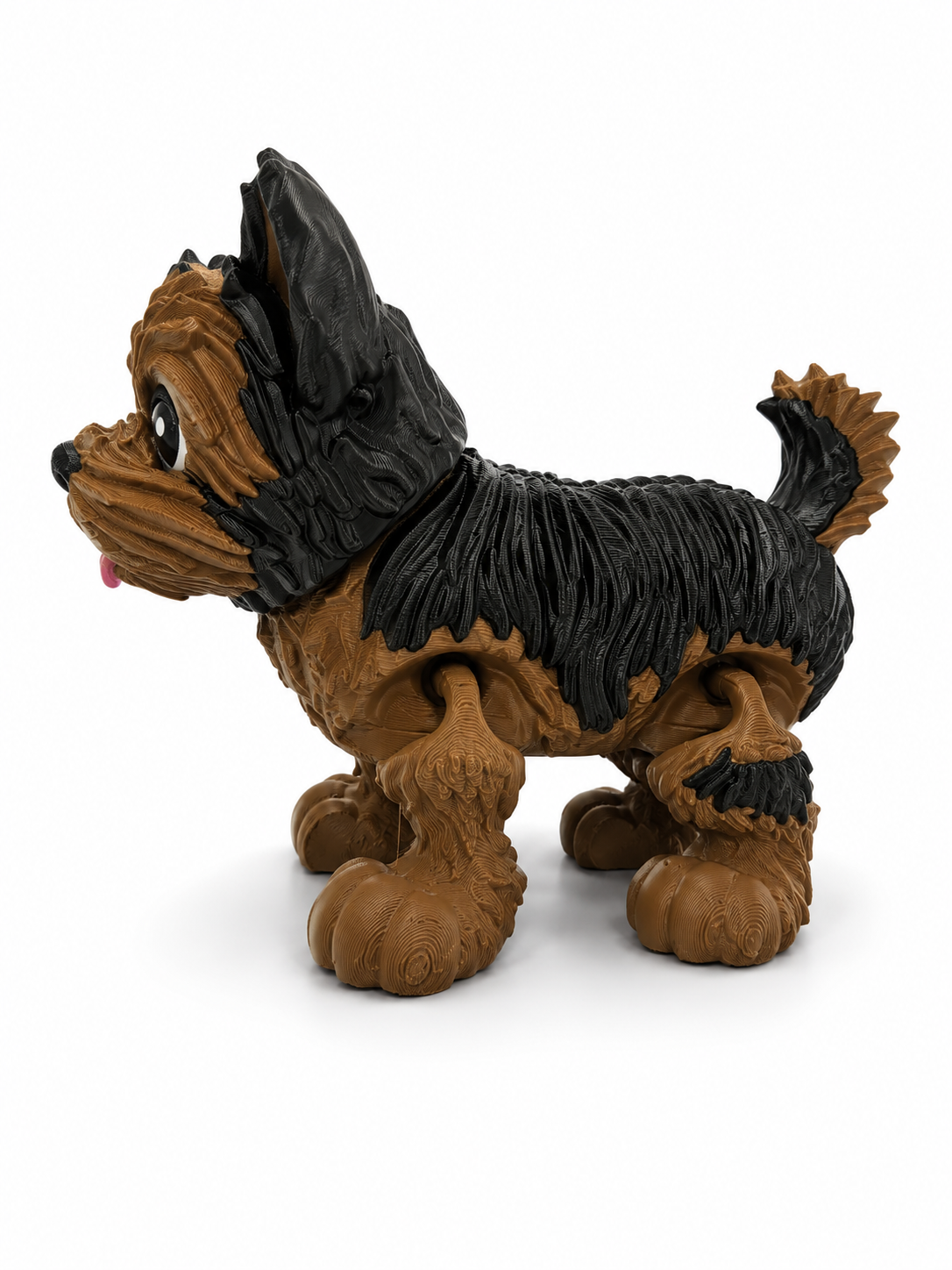 Yorkie Dog