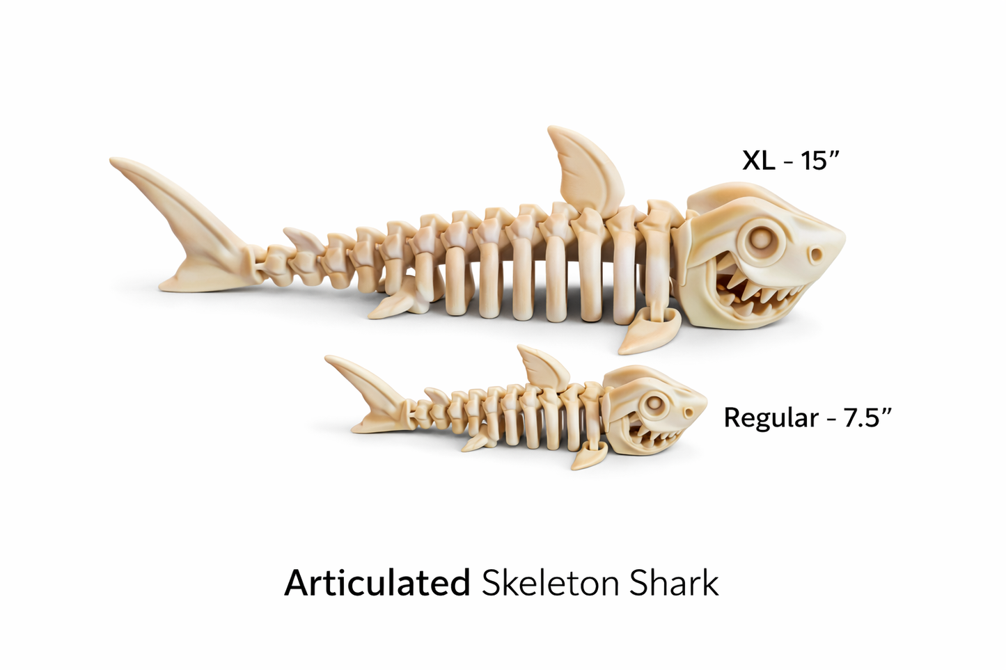 Shark Skelly