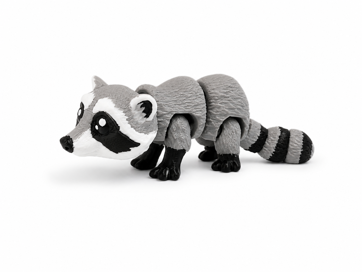 Baby Raccoon Cutie
