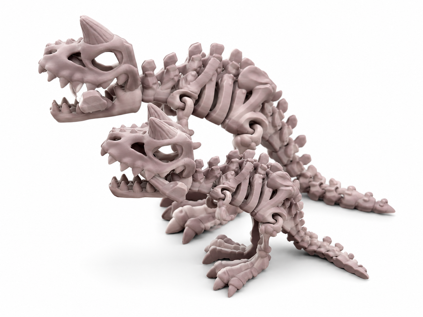 Carno Skelly