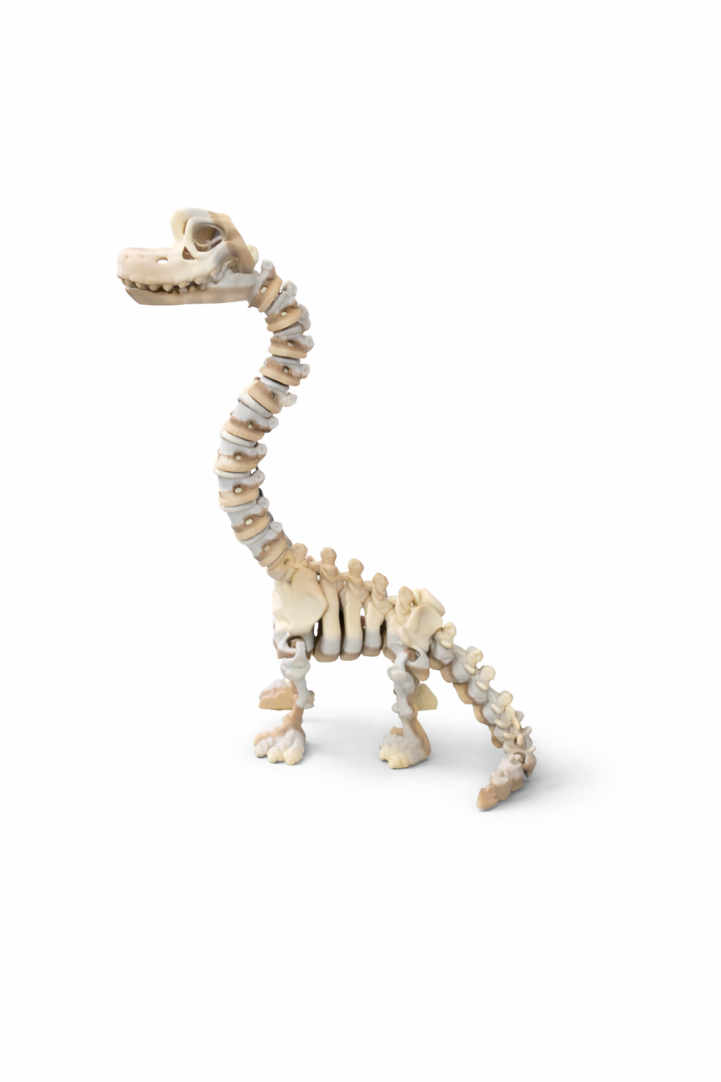 Brontosaurus Skelly