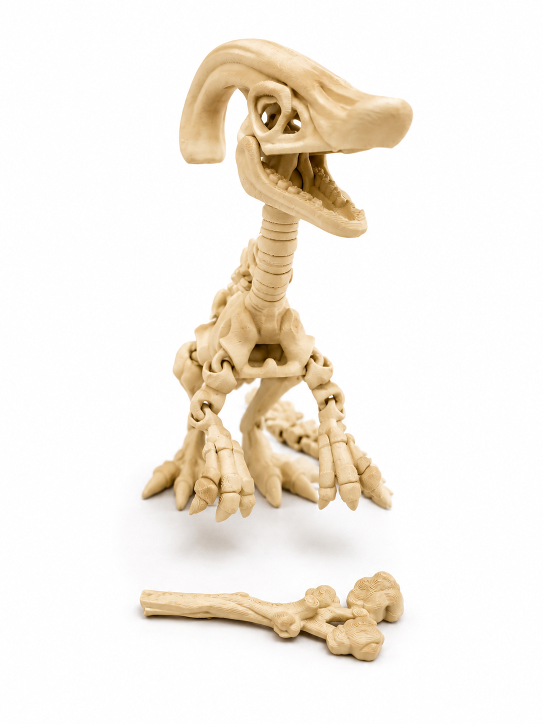 Parasaur Skelly