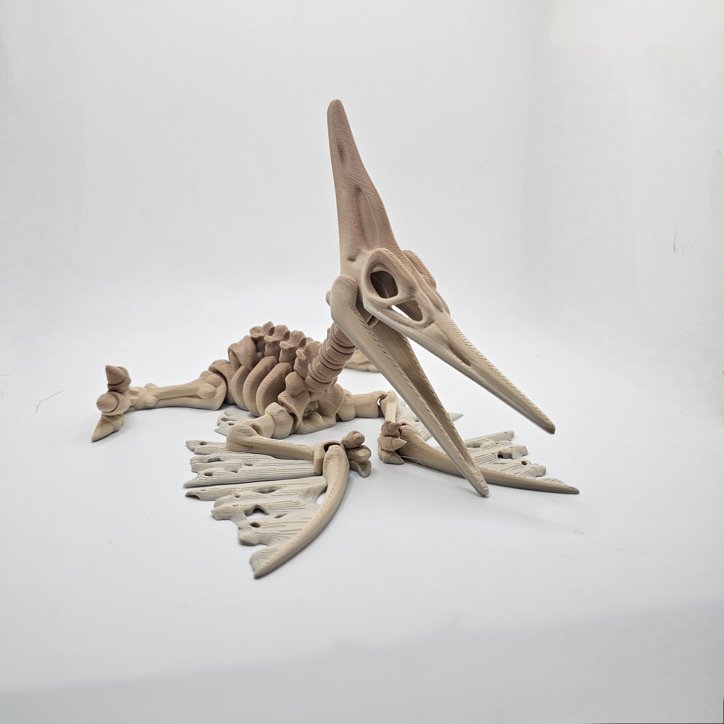 Skelly Pterodactyl