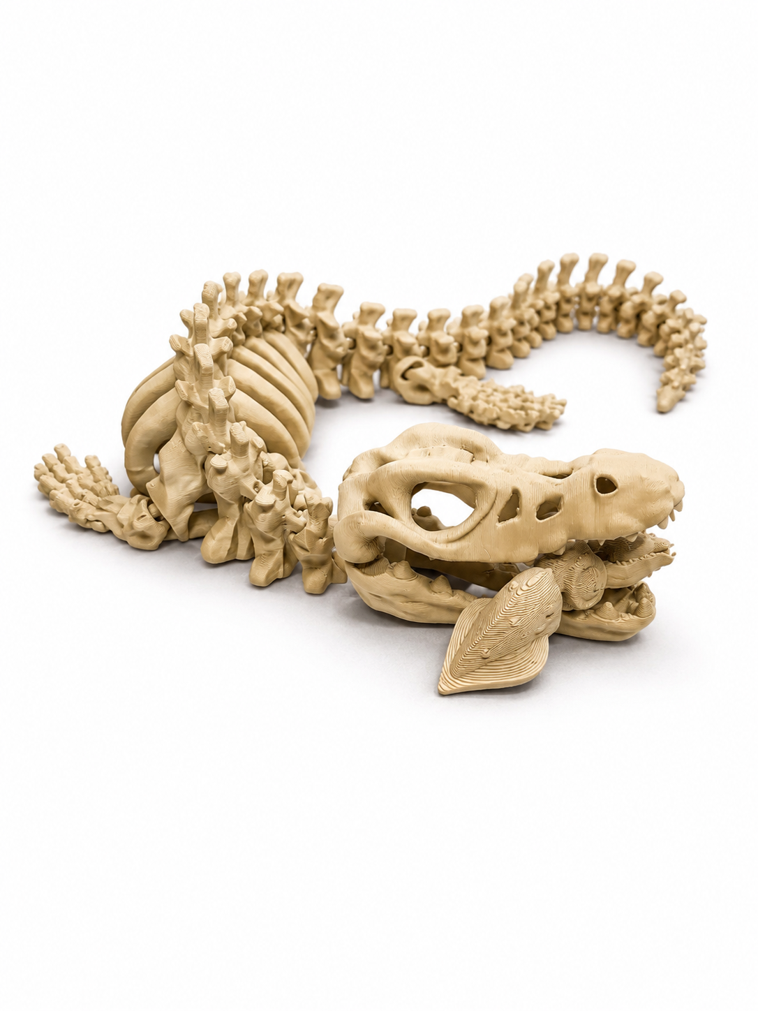 Mosasaur Skelly