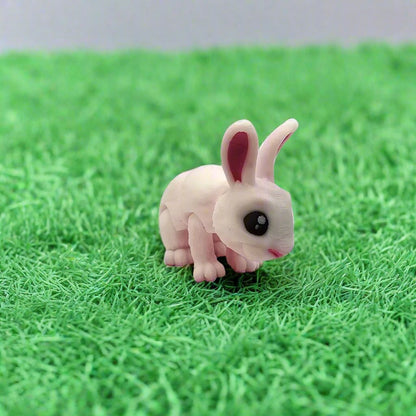 Rabbit Cutie