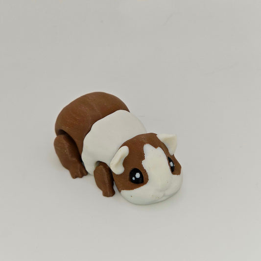 Cuties-Guinea pig