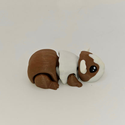 Guinea Pig Cutie