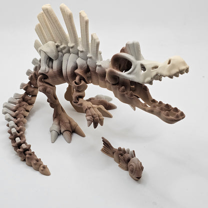 Skelly Spino