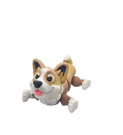 Dog-Corgi