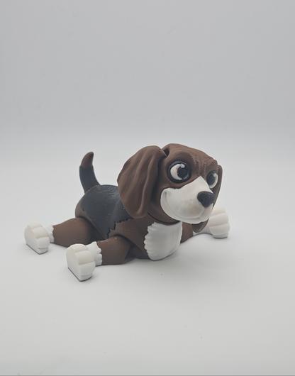 Beagle Dog