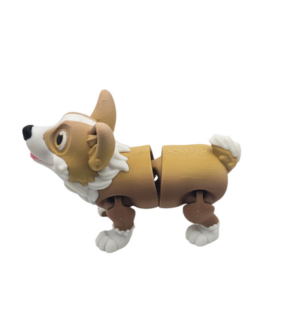 Dog-Corgi
