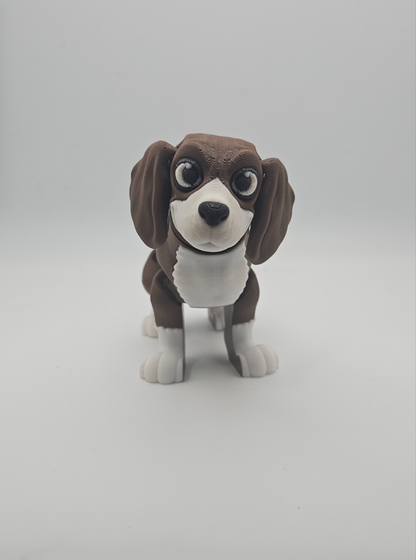 Beagle Dog