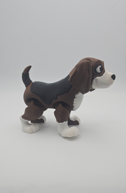 Beagle Dog