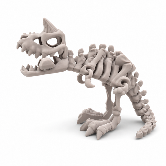Carno Skelly