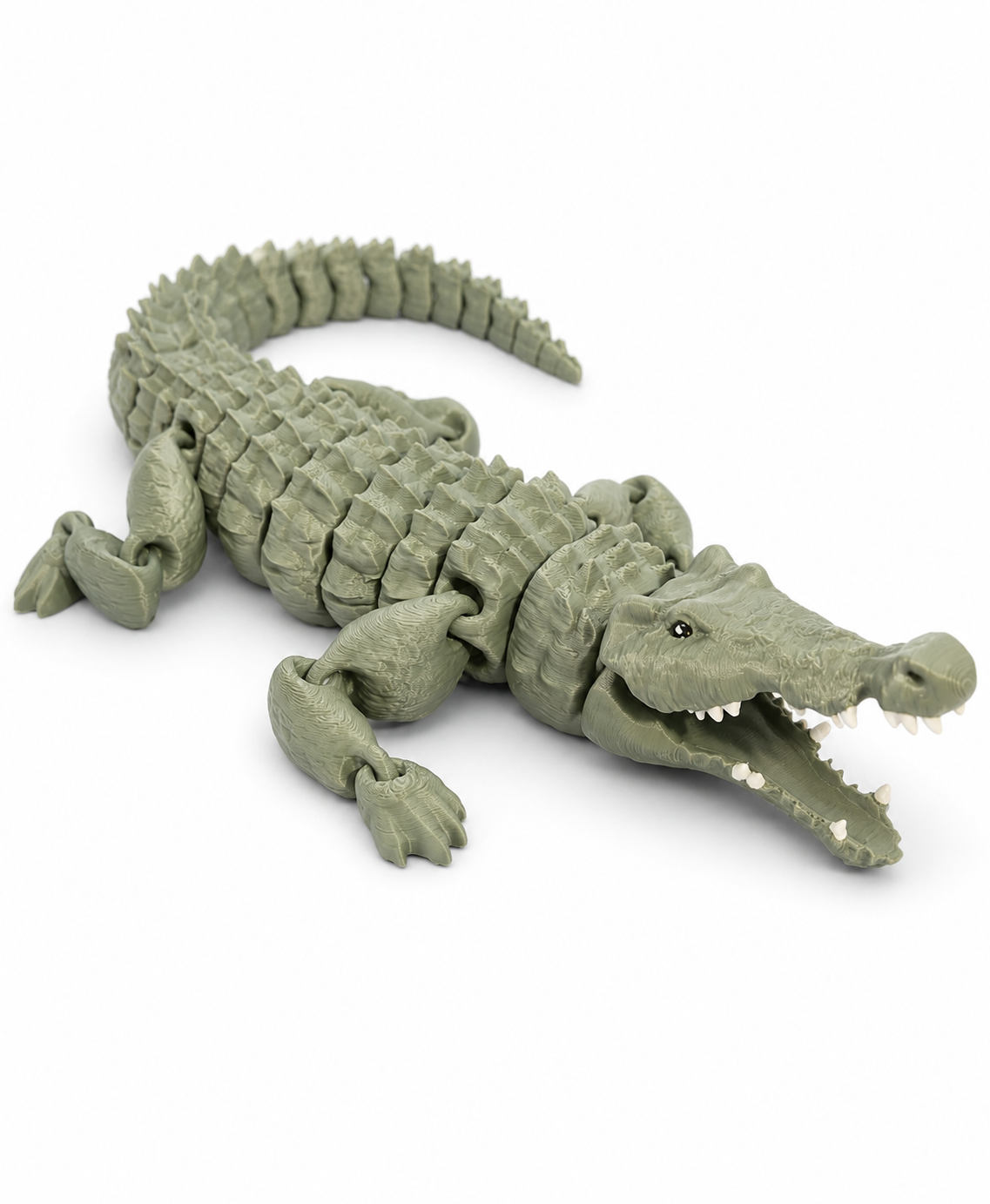 Crocodile