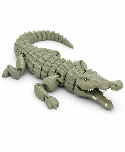 Crocodile