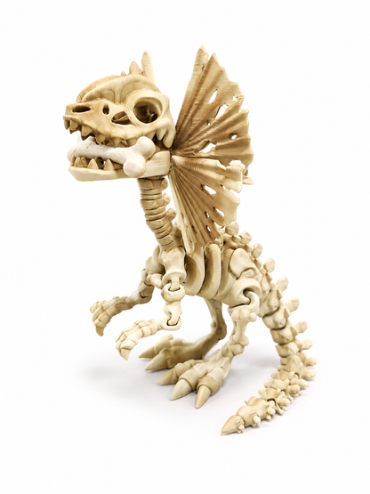 Dilophosaurus Skelly
