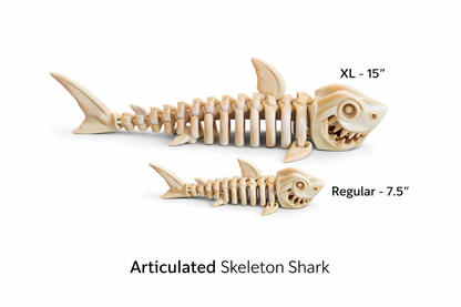 Shark Skelly