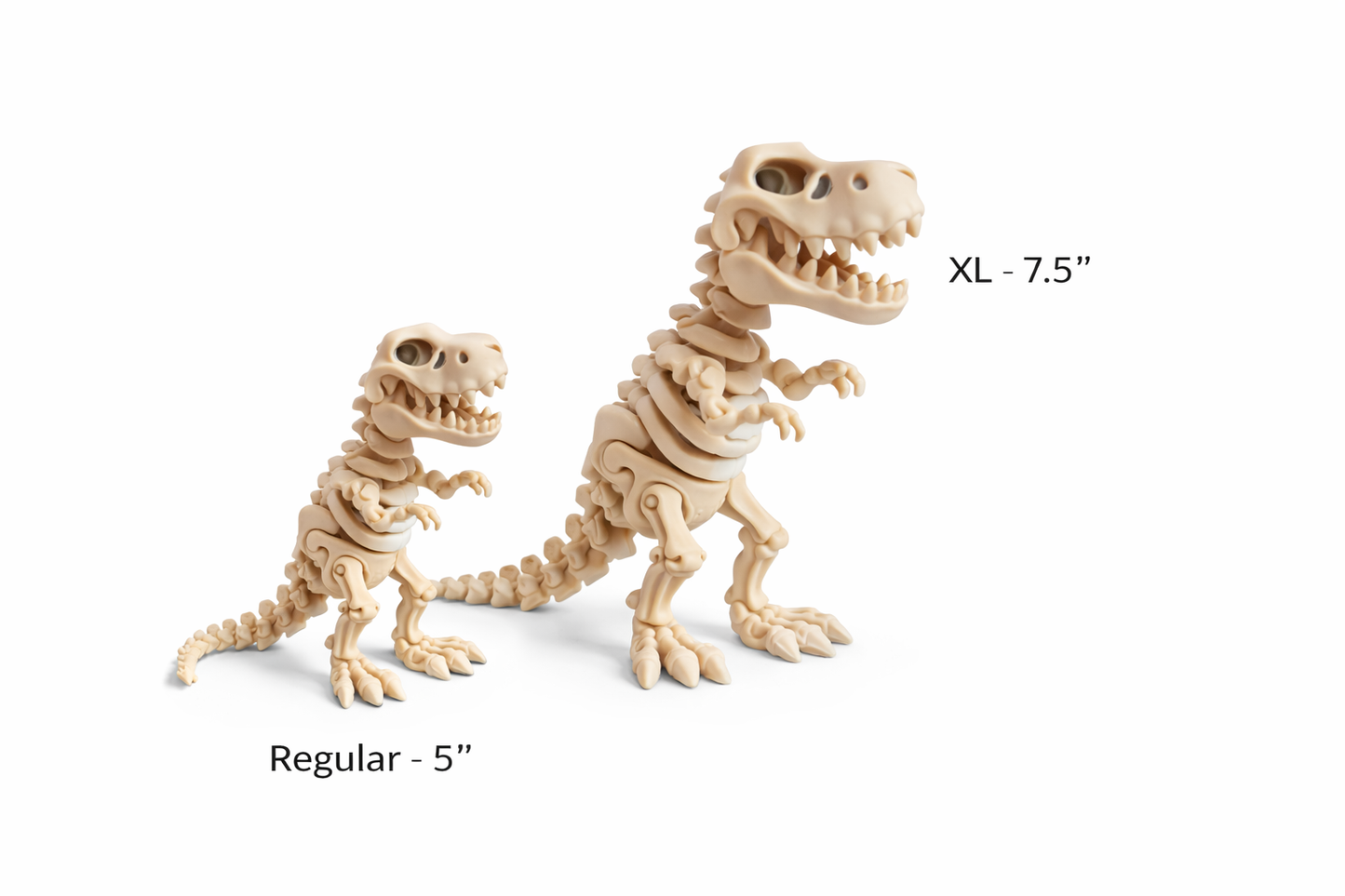 T-Rex Skelly