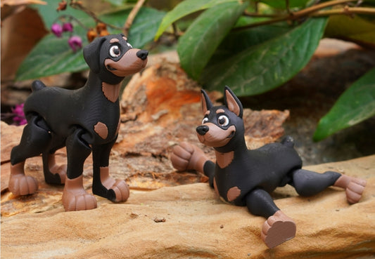 Dog-Doberman