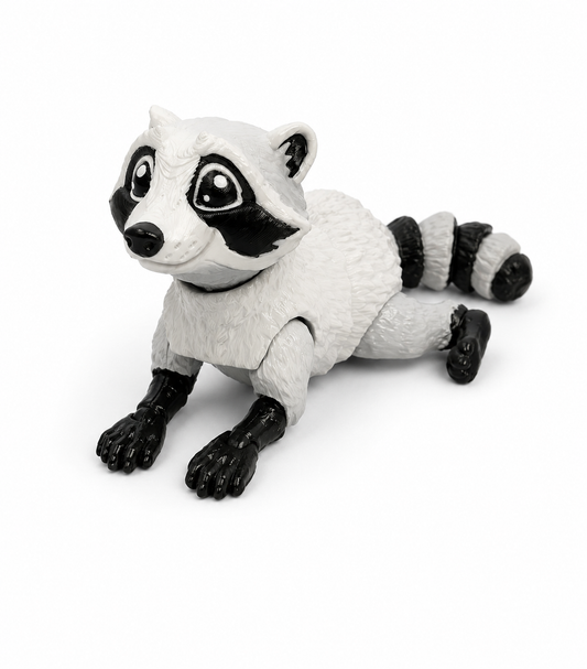 Raccoon