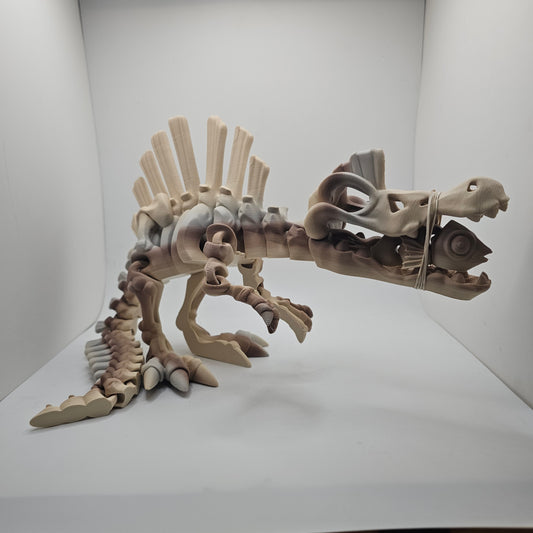 Skelly Spino XL