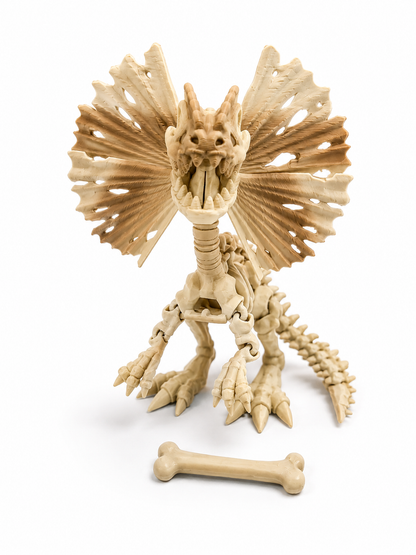 Dilophosaurus Skelly