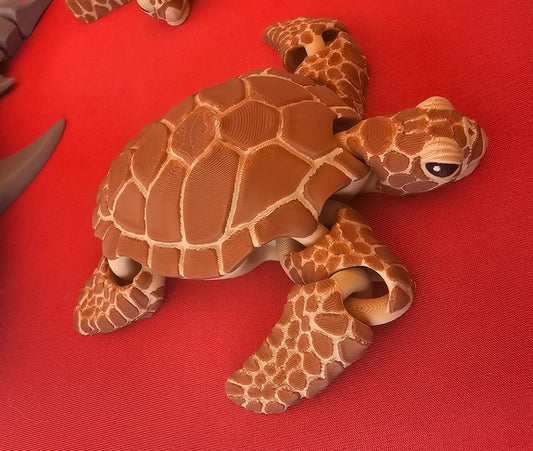 Sea turtle
