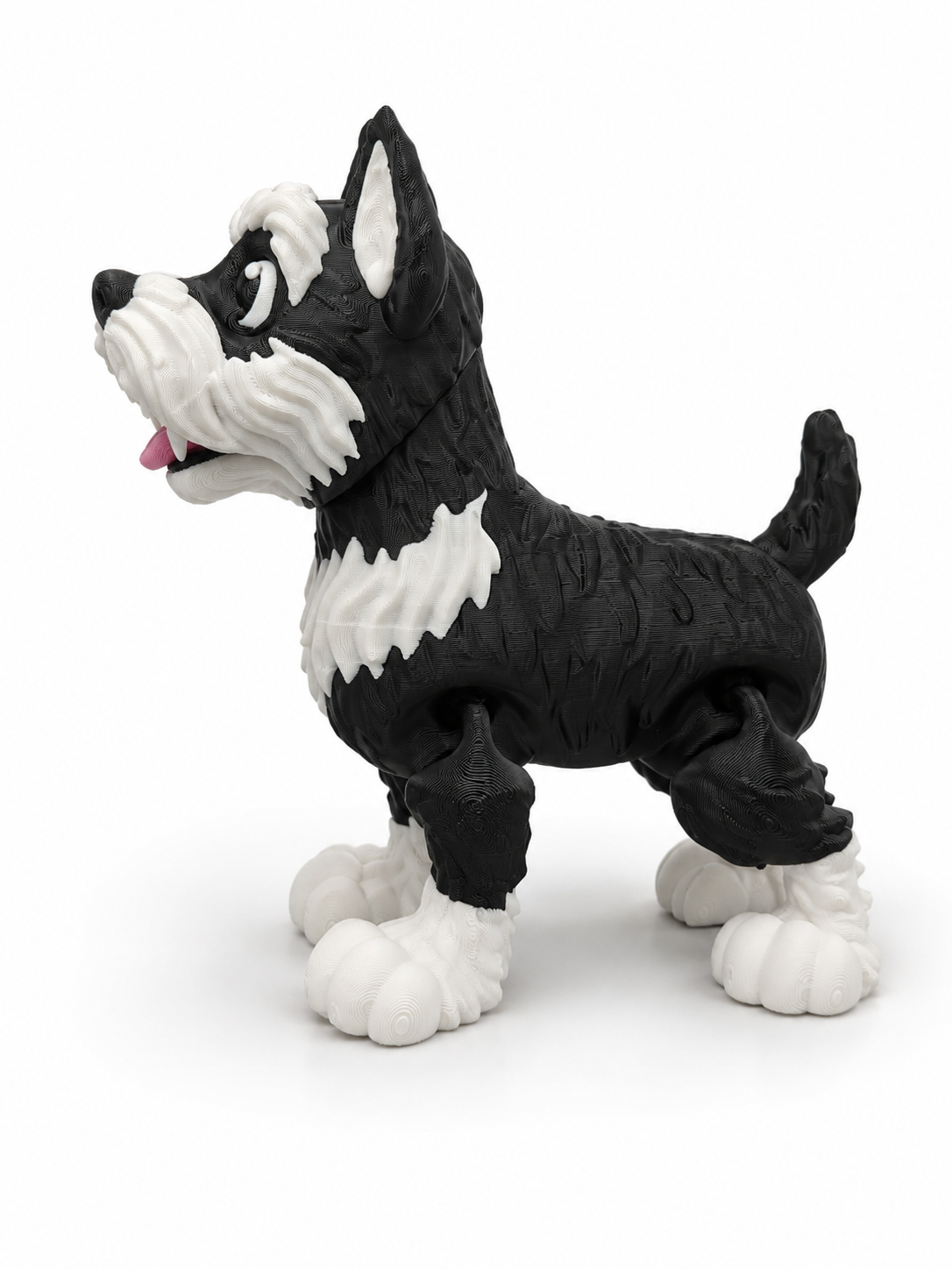 Schnauzer Dog