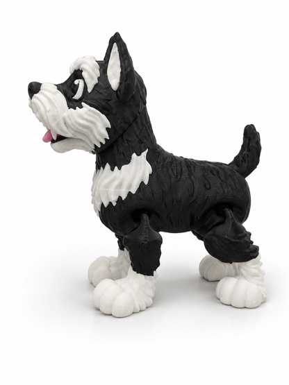 Schnauzer Dog
