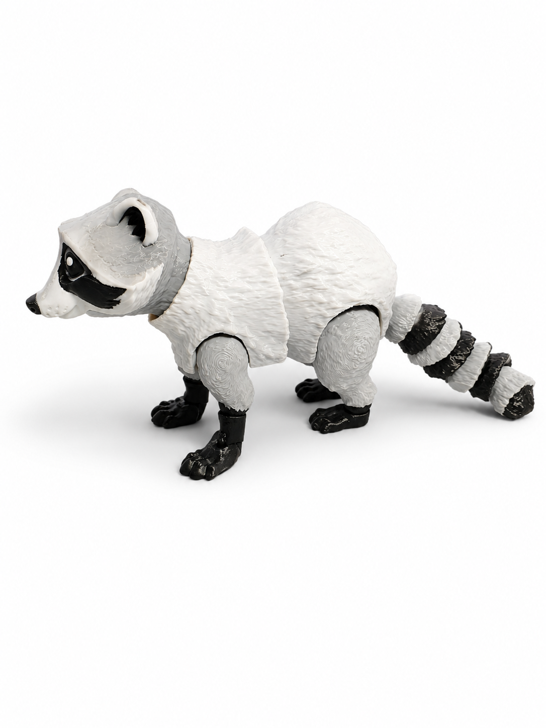 Raccoon