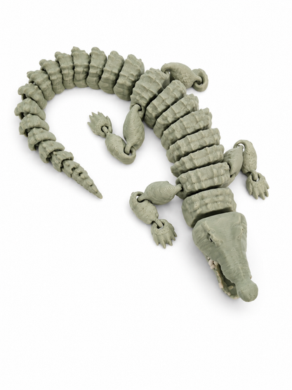 Crocodile
