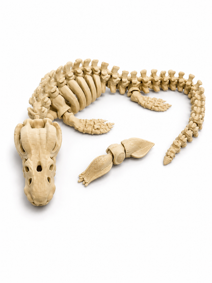 Mosasaur Skelly