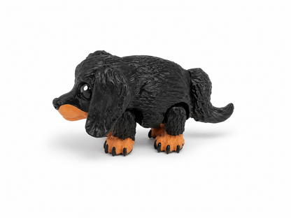 Dachshund Puff Cutie