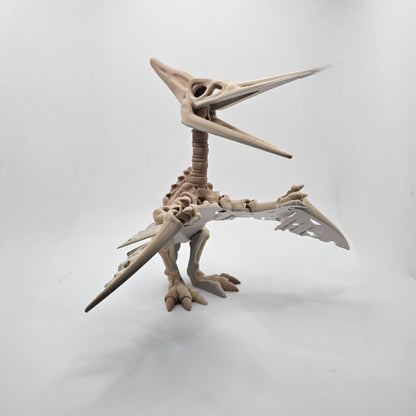 Skelly Pterodactyl
