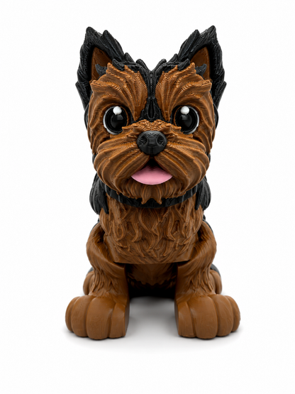 Yorkie Dog